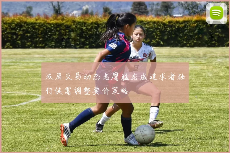浓眉交易动态老鹰猛龙成追求者独行侠需调整要价策略
